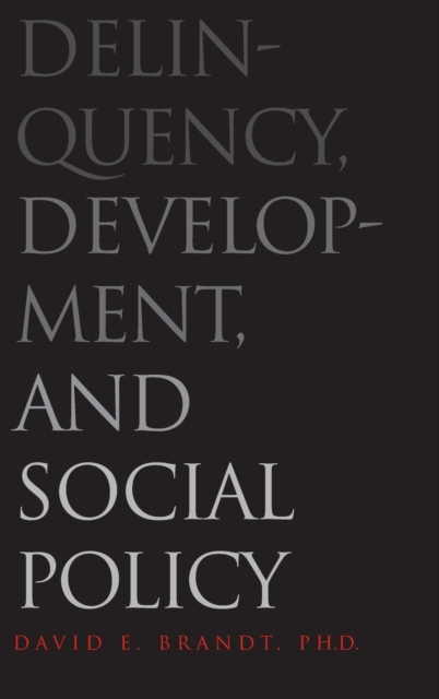 Delinquency, Development, and Social Policy, Hardback Book
