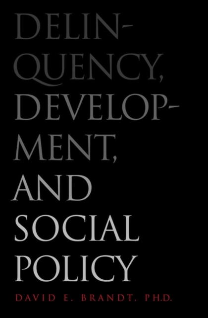 Delinquency, Development, and Social Policy, EPUB eBook