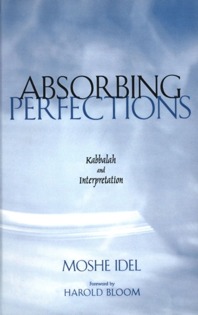 Absorbing Perfections : Kabbalah and Interpretation, EPUB eBook