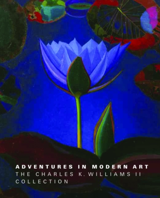 Adventures in Modern Art : The Charles K. Williams II Collection, Hardback Book