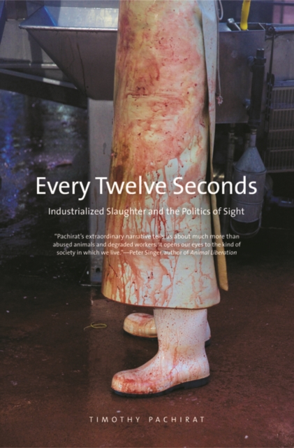 Every Twelve Seconds : Industrialized Slaughter and the Politics of Sight, EPUB eBook