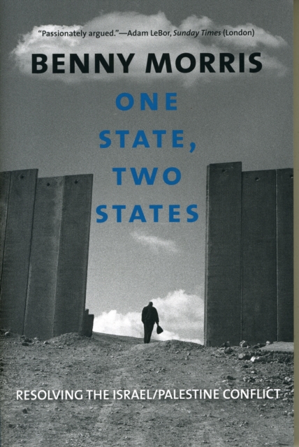 One State, Two States : Resolving the Israel/Palestine Conflict, Paperback / softback Book