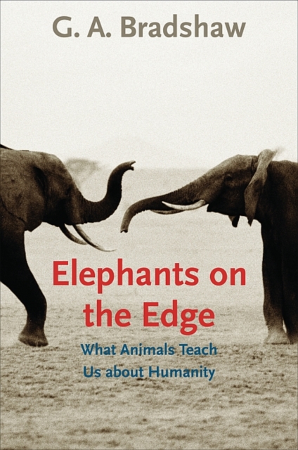 Elephants on the Edge : What Animals Teach Us about Humanity, Paperback / softback Book