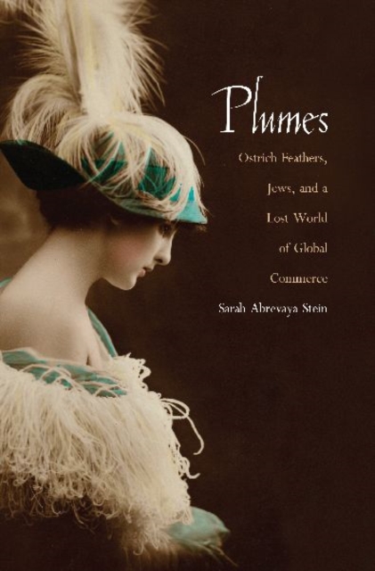 Plumes : Ostrich Feathers, Jews, and a Lost World of Global Commerce, Paperback / softback Book