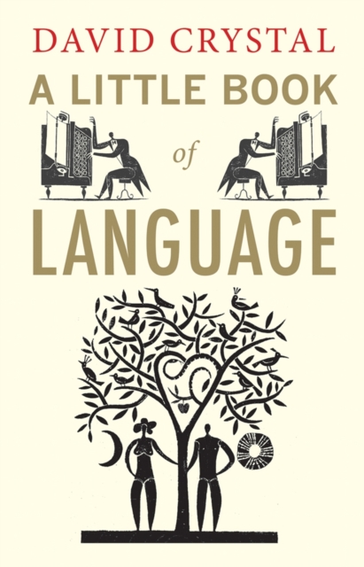 A Little Book of Language, Paperback / softback Book