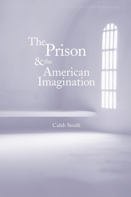 The Prison and the American Imagination, Paperback / softback Book
