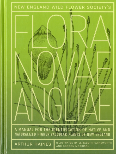 New England Wild Flower Society's Flora Novae Angliae : A Manual for the Identification of Native and Naturalized Higher Vascular Plants of New England, Hardback Book