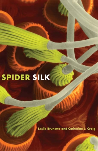 Spider Silk : Evolution and 400 Million Years of Spinning, Waiting, Snagging, and Mating, Paperback / softback Book