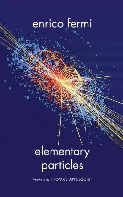 Elementary Particles, Paperback / softback Book