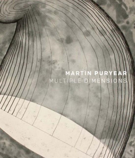 Martin Puryear : Multiple Dimensions, Hardback Book