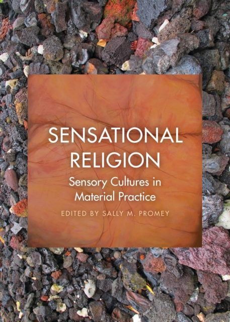 Sensational Religion : Sensory Cultures in Material Practice, EPUB eBook