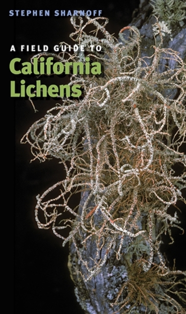 A Field Guide to California Lichens, Paperback / softback Book