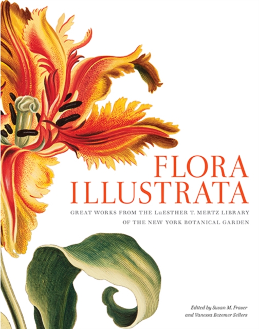 Flora Illustrata : Great Works from the LuEsther T. Mertz Library of The New York Botanical Garden, Hardback Book