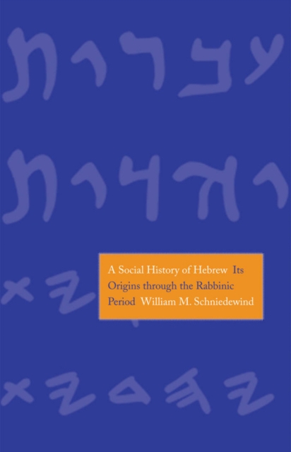 A Social History of Hebrew : Its Origins Through the Rabbinic Period, EPUB eBook