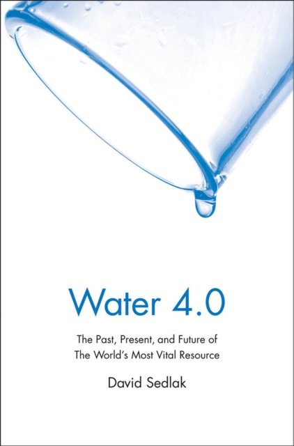 Water 4.0 : The Past, Present, and Future of the World's Most Vital Resource, EPUB eBook