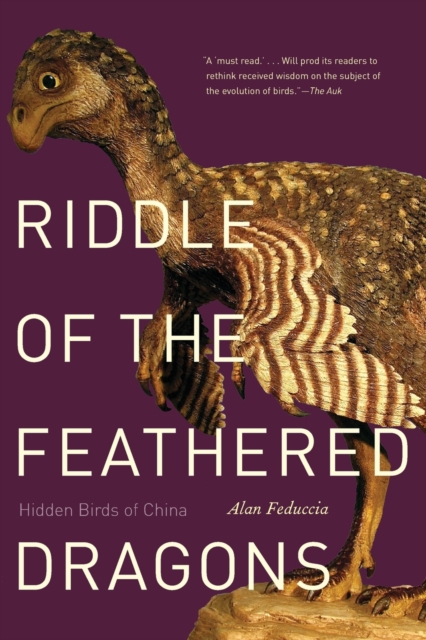 Riddle of the Feathered Dragons : Hidden Birds of China, Paperback / softback Book