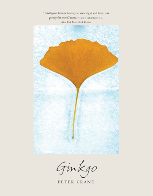 Ginkgo : The Tree That Time Forgot, Paperback / softback Book