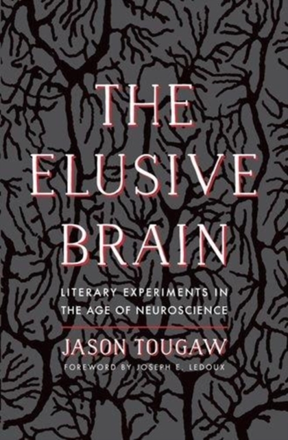 The Elusive Brain : Literary Experiments in the Age of Neuroscience, Hardback Book