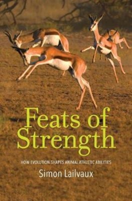 Feats of Strength : How Evolution Shapes Animal Athletic Abilities, Hardback Book