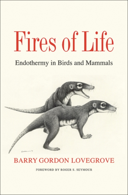 Fires of Life : Endothermy in Birds and Mammals, Hardback Book