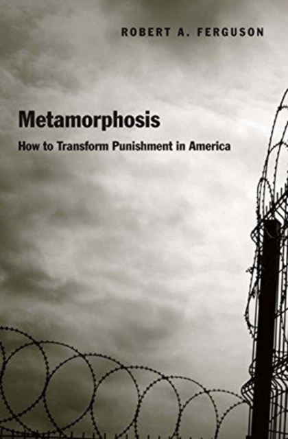 Metamorphosis : How to Transform Punishment in America, Hardback Book