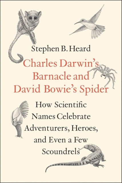 Charles Darwin's Barnacle and David Bowie's Spider : How Scientific Names Celebrate Adventurers, Heroes, and Even a Few Scoundrels, Hardback Book
