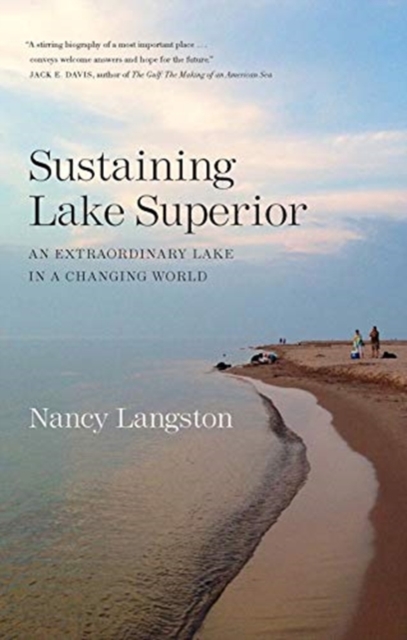 Sustaining Lake Superior : An Extraordinary Lake in a Changing World, Paperback / softback Book