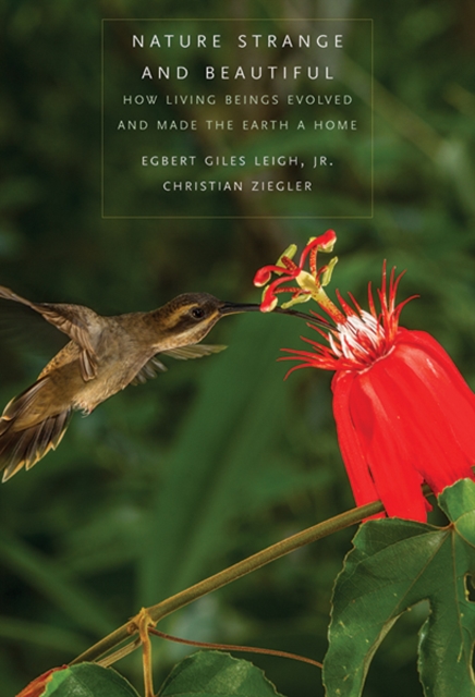 Nature Strange and Beautiful : How Living Beings Evolved and Made the Earth a Home, Hardback Book