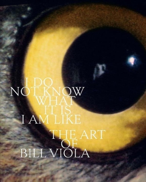 I Do Not Know What It Is I Am Like : The Art of Bill Viola, Hardback Book
