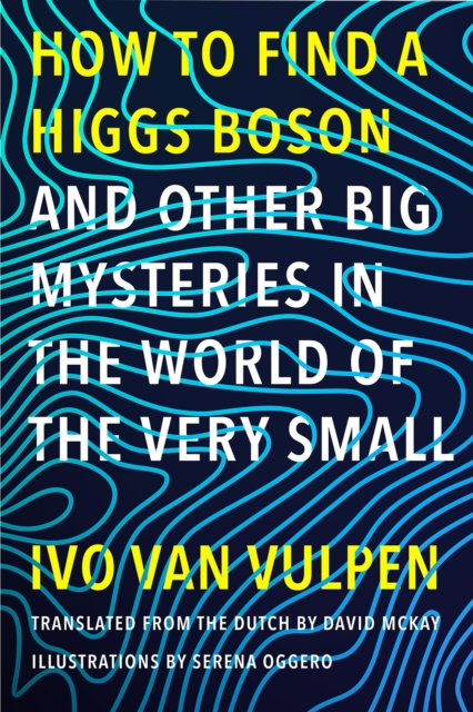 How to Find a Higgs Boson-and Other Big Mysteries in the World of the Very Small, EPUB eBook