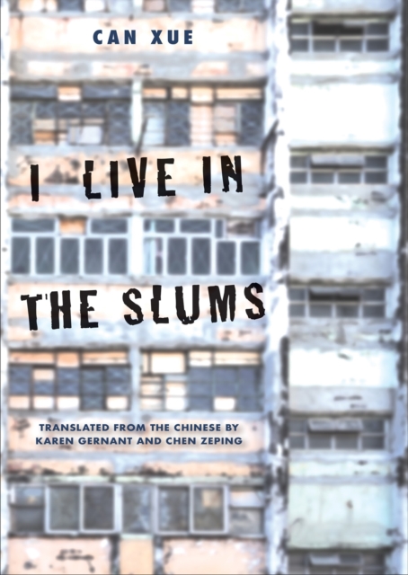 I Live in the Slums : Stories, EPUB eBook