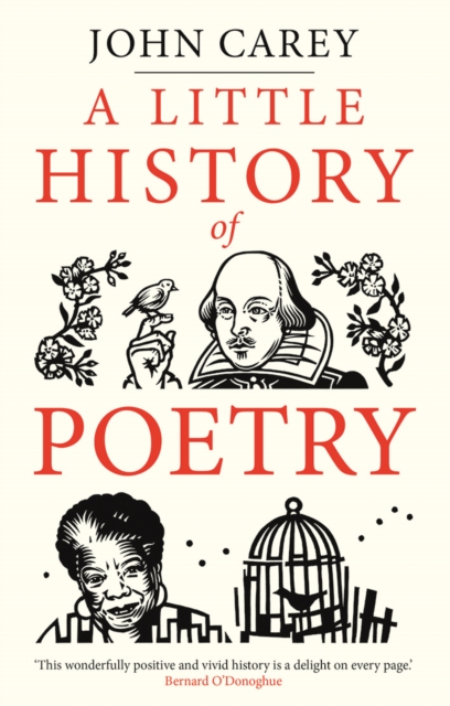 A Little History of Poetry, EPUB eBook