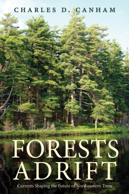 Forests Adrift : Currents Shaping the Future of Northeastern Trees, EPUB eBook
