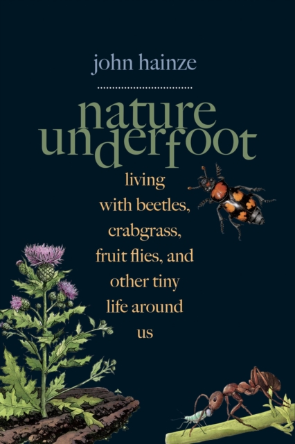 Nature Underfoot : Living with Beetles, Crabgrass, Fruit Flies, and Other Tiny Life Around Us, EPUB eBook