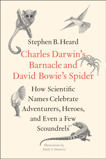 Charles Darwin's Barnacle and David Bowie's Spider : How Scientific Names Celebrate Adventurers, Heroes, and Even a Few Scoundrels, EPUB eBook