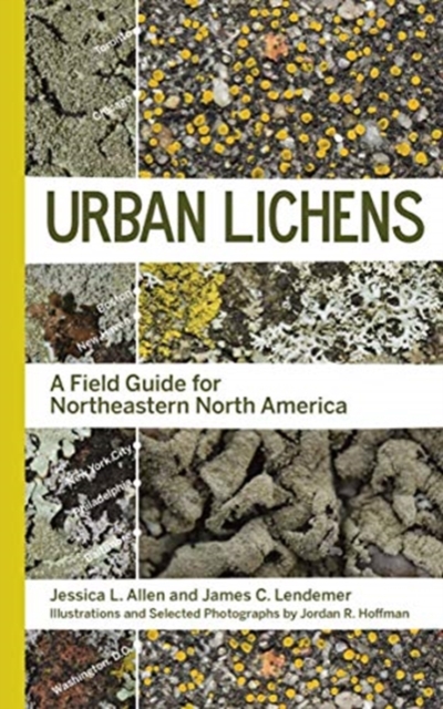 Urban Lichens : A Field Guide for Northeastern North America, Paperback / softback Book