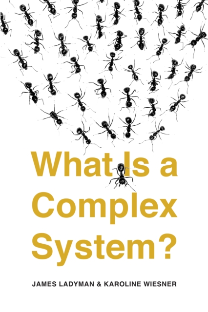 What Is a Complex System?, EPUB eBook
