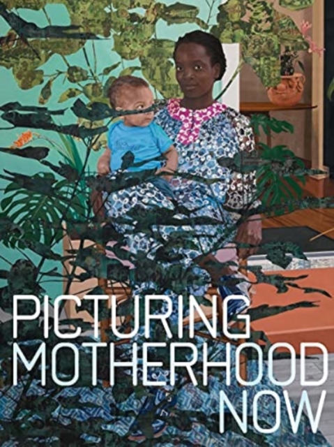 Picturing Motherhood Now, Hardback Book