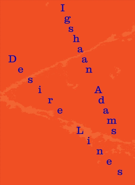 Igshaan Adams : Desire Lines, Paperback / softback Book