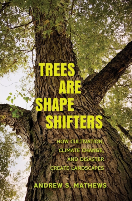 Trees Are Shape Shifters : How Cultivation, Climate Change, and Disaster Create Landscapes, EPUB eBook
