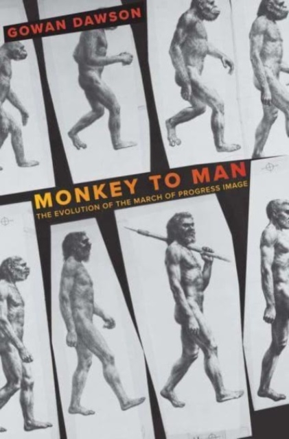 Monkey to Man : The Evolution of the March of Progress Image, Hardback Book