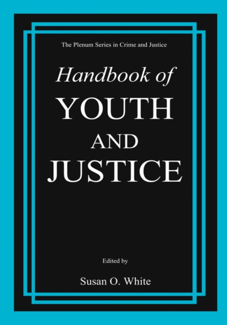 Handbook of Youth and Justice, Hardback Book