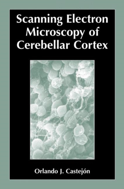Scanning Electron Microscopy of Cerebellar Cortex, Paperback / softback Book