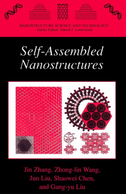 Self-Assembled Nanostructures, PDF eBook