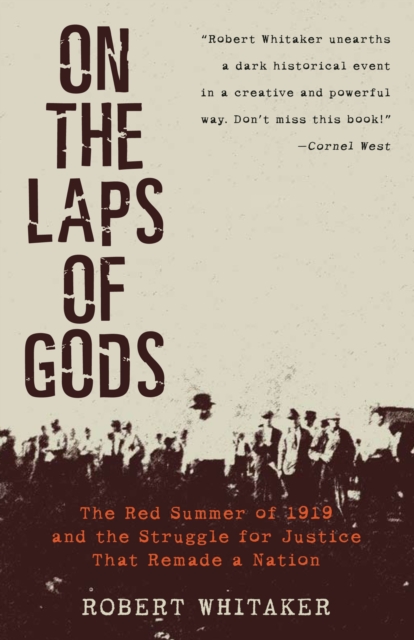 On the Laps of Gods : The Red Summer of 1919 and the Struggle for Justice That Remade a Nation, Paperback / softback Book
