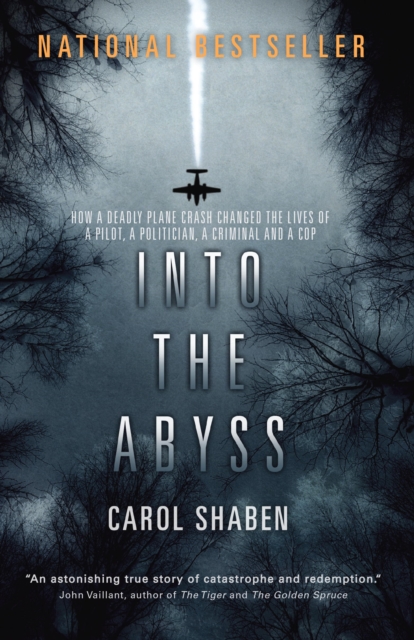 Into the Abyss : How a Deadly Plane Crash Changed the Lives of a Pilot, a Politician, a Criminal and a Cop, EPUB eBook