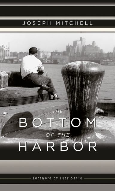 Bottom of the Harbor, EPUB eBook