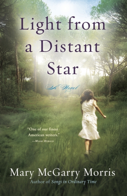 Light from a Distant Star, EPUB eBook