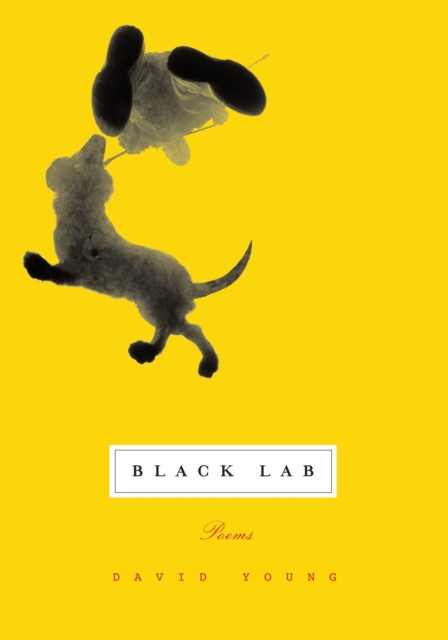 Black Lab, EPUB eBook
