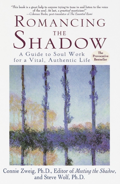 Romancing the Shadow, EPUB eBook